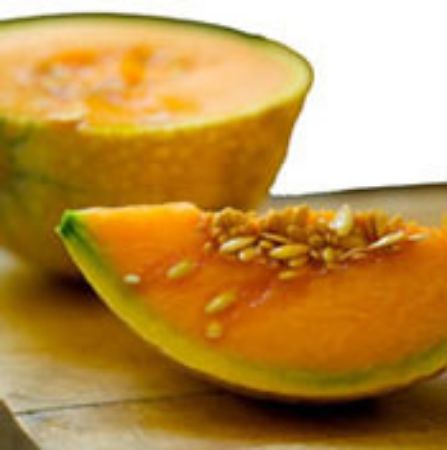 Picture for category Cantaloupe Plants