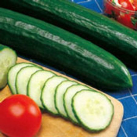 Picture for category Cucumber Plants