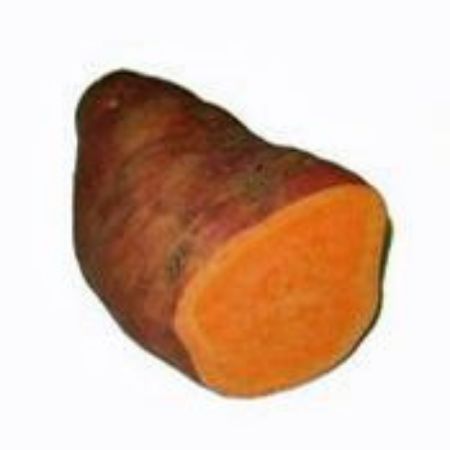 Picture for category Sweet Potato Plants