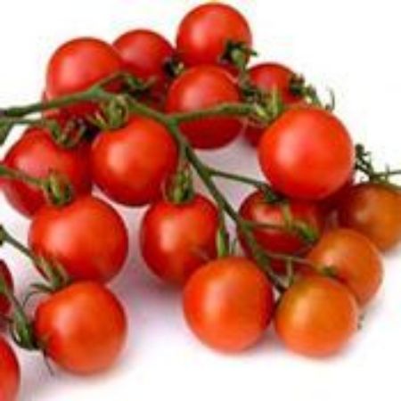 Picture for category Cherry Tomato Plants