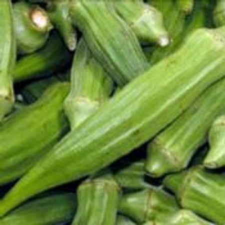 Picture for category Okra Plants