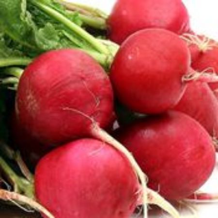 Picture for category Radish Plants