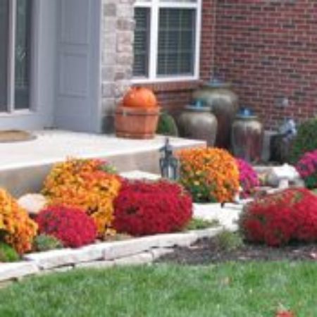 Picture for category Fall Garden