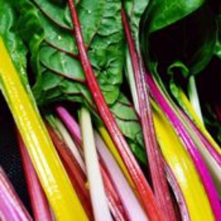 Picture for category Swiss Chard Plants