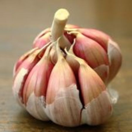 Picture for category Garlic