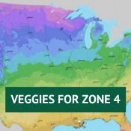 Picture for category Vegetable Plants for Zone 4