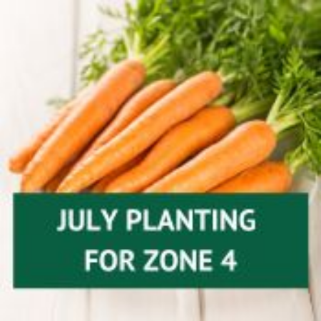 Picture for category July Planting for Zone 4