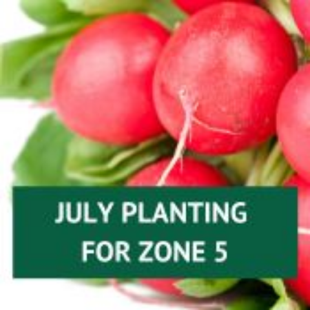 Picture for category July Planting for Zone 5