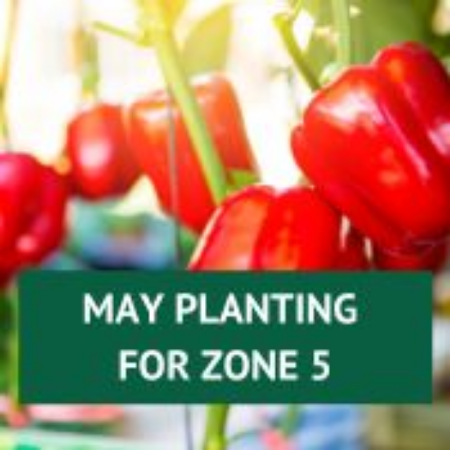 Picture for category May Planting for Zone 5