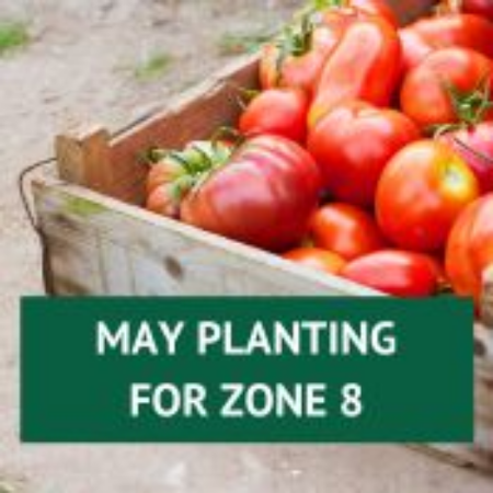 Picture for category May Planting for Zone 8
