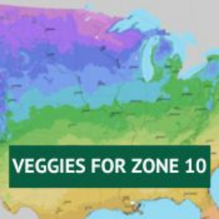 Picture for category Vegetable Plants for Zone 10