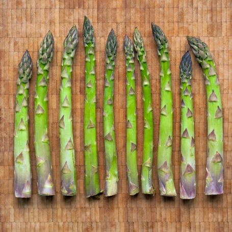 Picture of Jersey Giant Asparagus Plant - 2-3 Year Crowns - 10-Pack
