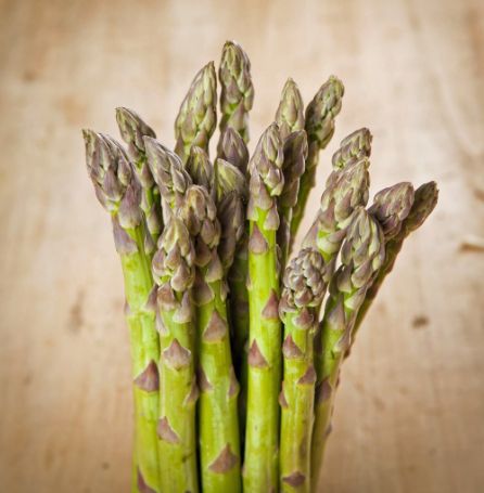 Picture of Jersey Supreme Asparagus Plant - 2-3 Year Crowns - 10-Pack
