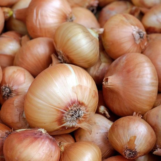 Picture of Candy Onion