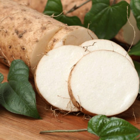 Picture of White Yam Sweet Potato Plant