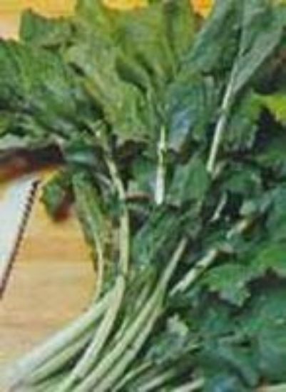 Picture of Seven Top Heirloom Turnip Plant