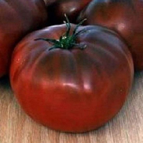 Picture of Brandywine Black Tomato Plant