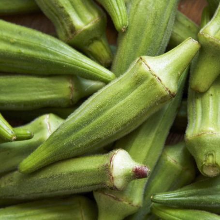 Picture of Clemson Spineless Okra Plant