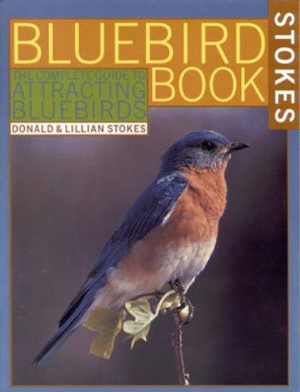 Picture of Stokes Bluebird Book