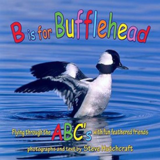 Picture of B is for Bufflehead Book