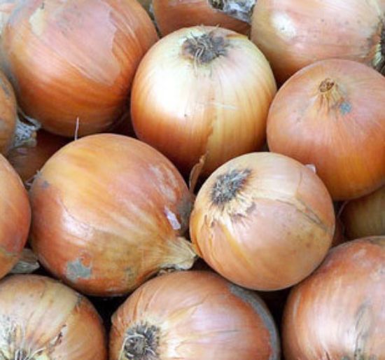 Picture of Copra Onion