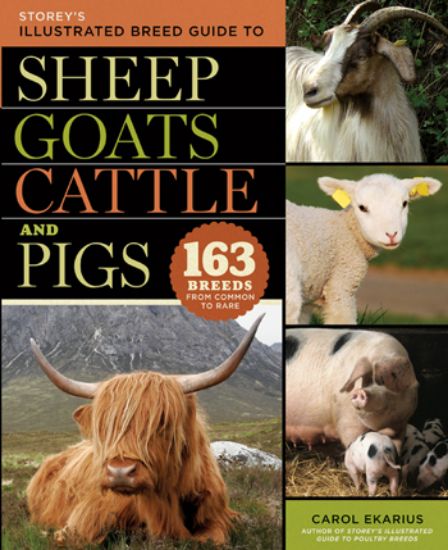 Picture of Storey’s Illustrated Breed Guide to Sheep, Goats, Cattle and Pigs