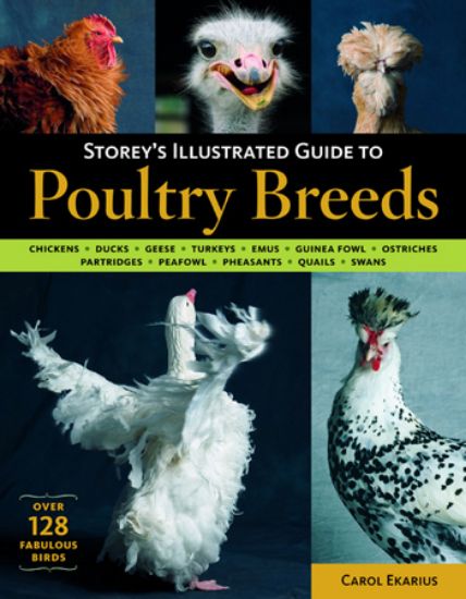 Picture of Storey’s Illustrated Guide to Poultry Breeds