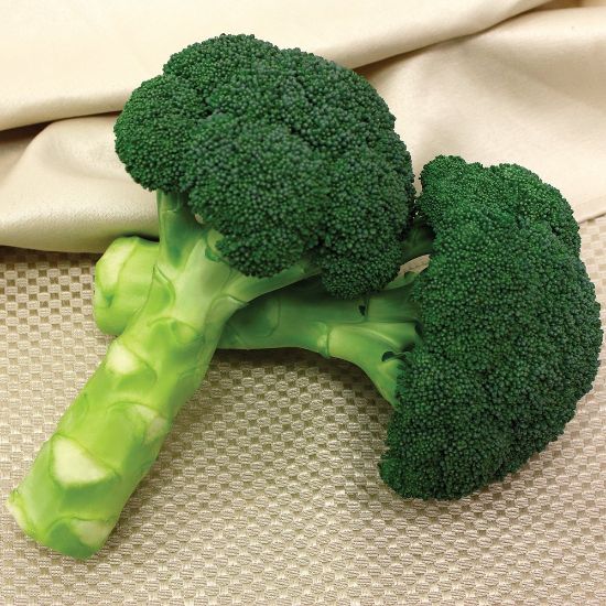 Picture of Green Magic Broccoli Plant