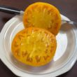 Picture of Persimmon Orange Tomato Plant