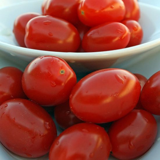 Picture of Smarty Grape Tomato Plant