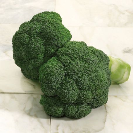 Picture of Imperial Broccoli Plant