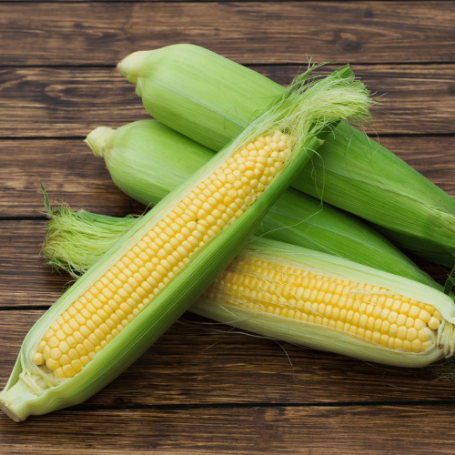 Picture of Honey Select Sweet Corn Plant