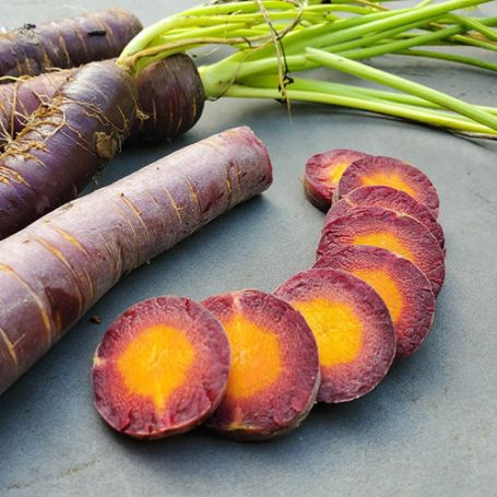 Picture of Purplesnax Carrot Plant